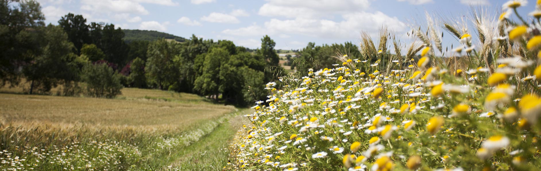 stage-jeune_paysage_slide02